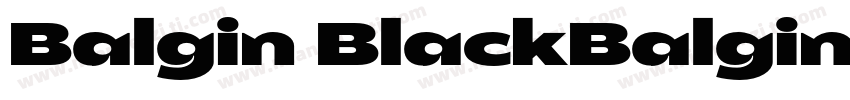 Balgin BlackBalgin B字体转换